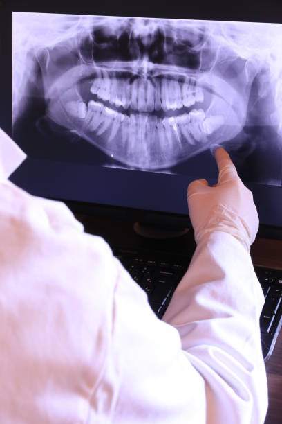 Best Emergency X-Rays and Diagnostics in Lebanon, KY